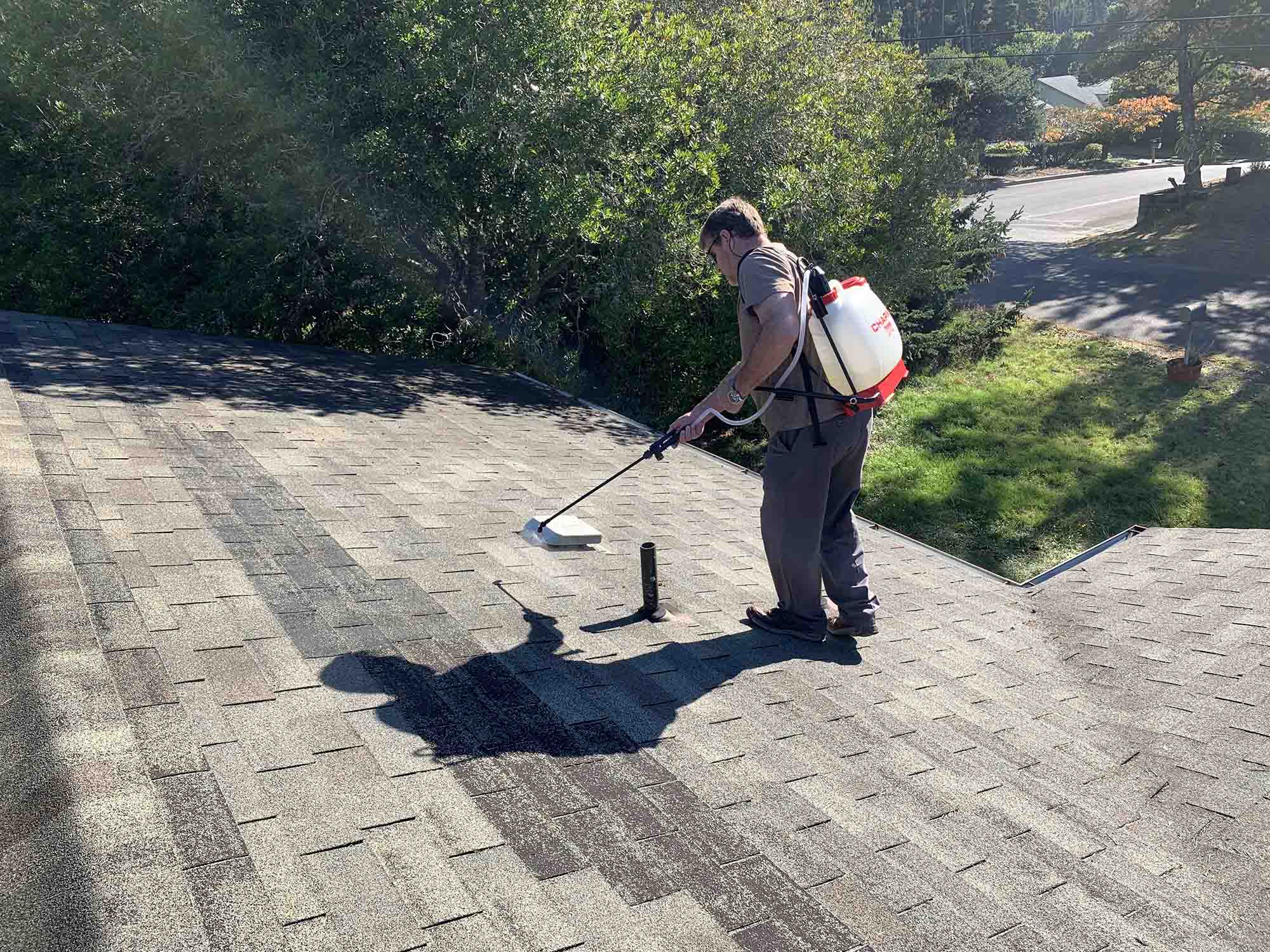 Gallery Asphalt Shingle Sealer Shingle Magic Sealer