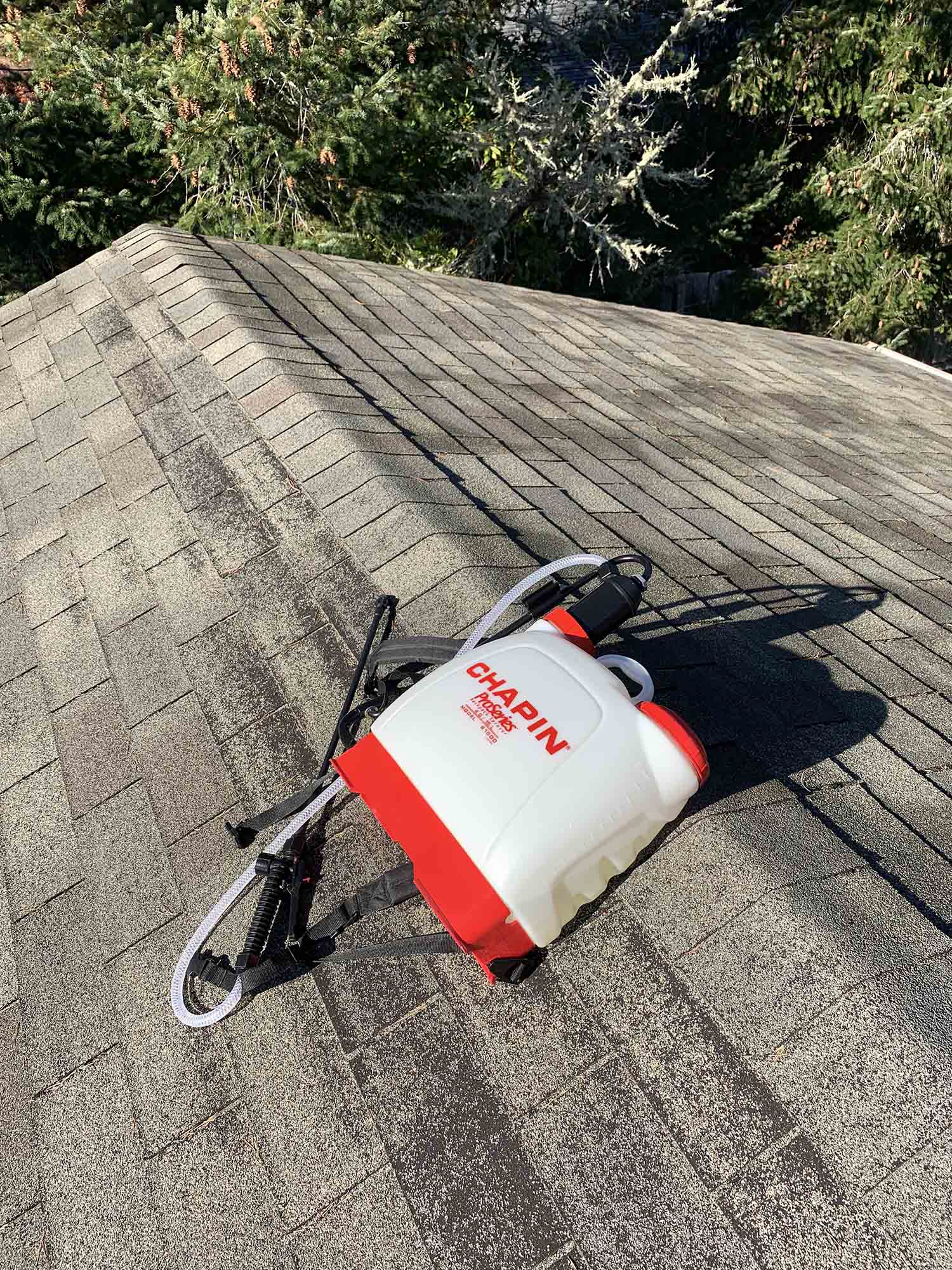 Gallery Asphalt Shingle Sealer Shingle Magic Sealer