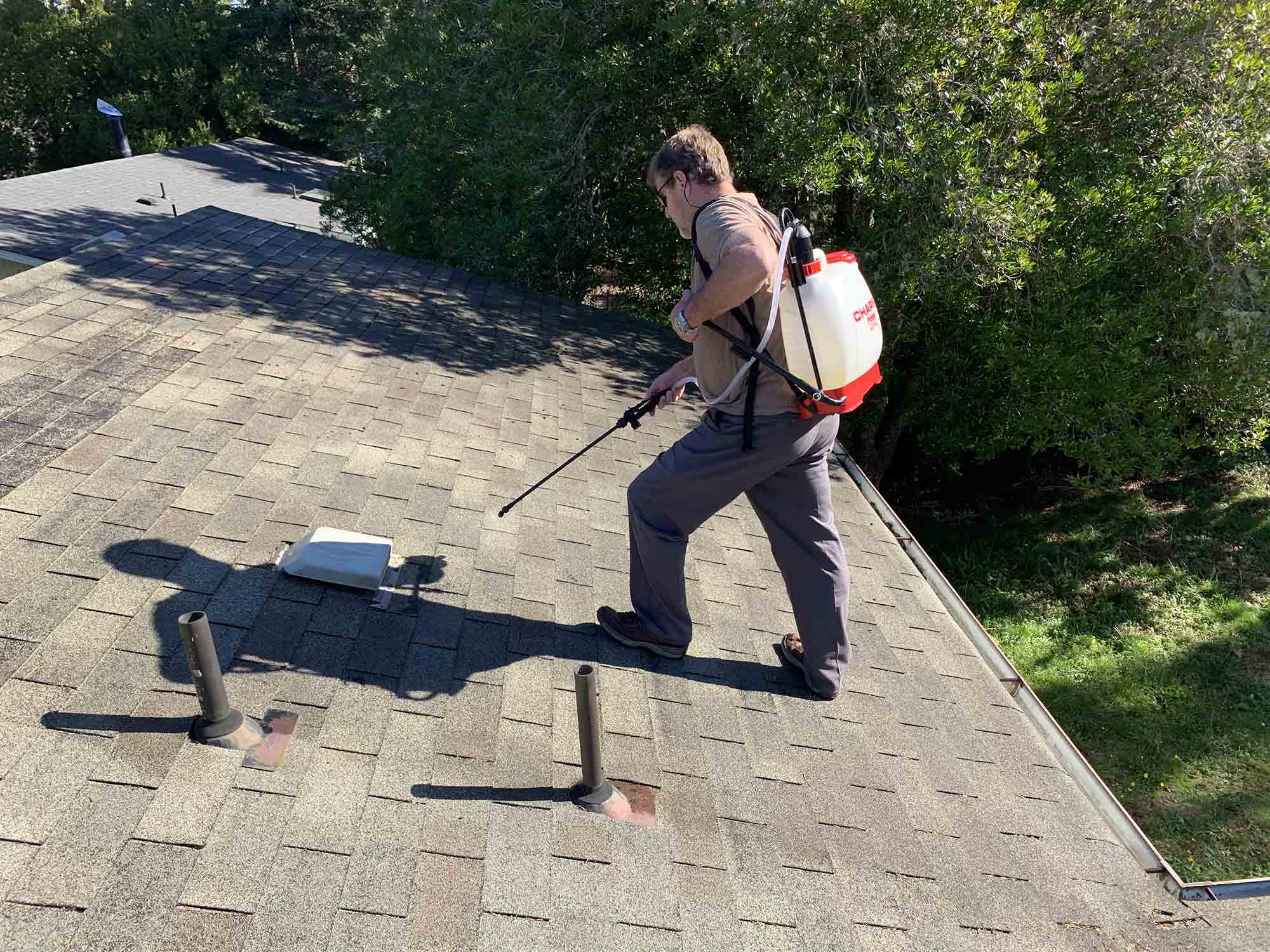 Gallery Asphalt Shingle Sealer Shingle Magic Sealer