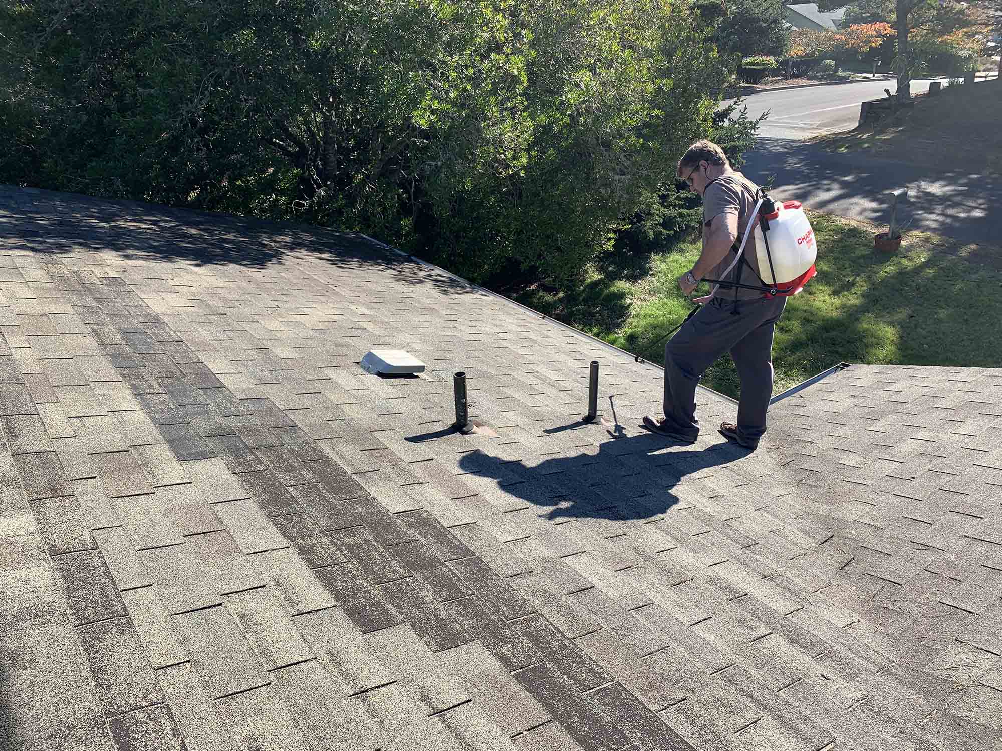 Gallery Asphalt Shingle Sealer Shingle Magic Sealer