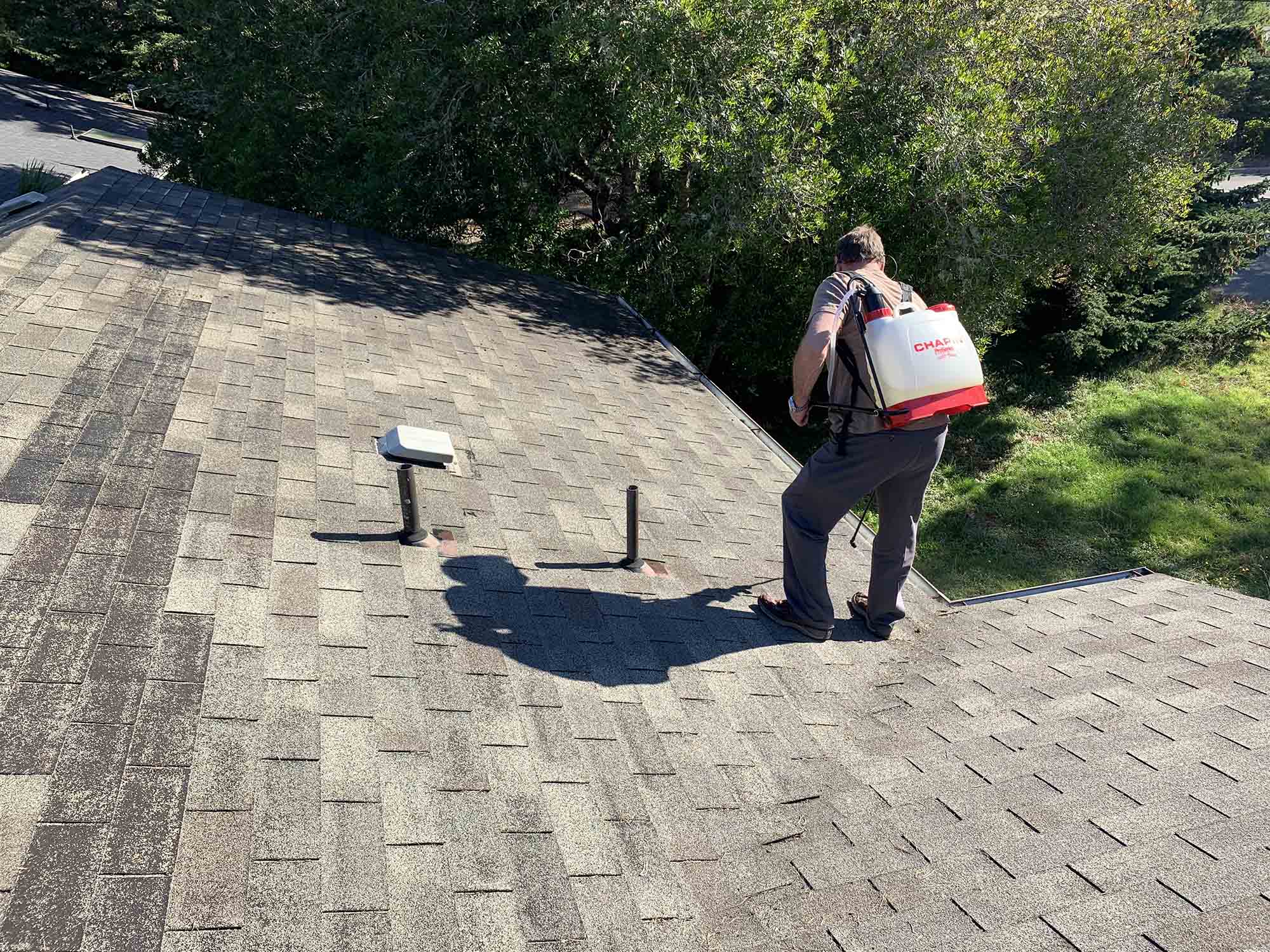 Gallery Asphalt Shingle Sealer Shingle Magic Sealer